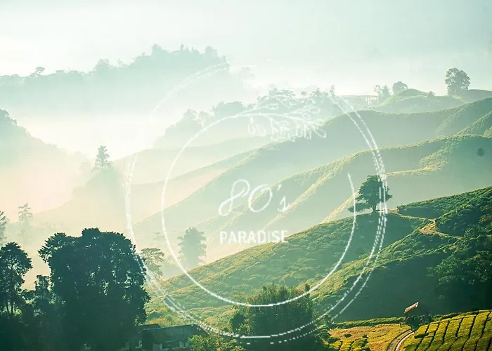 80\'S Paradise